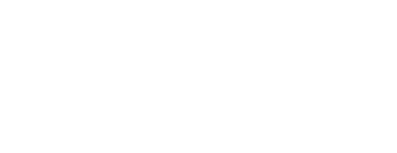 Apan